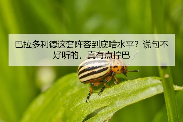 ba-la-duo-li-de-zhe-tao-zhen-rong-dao-di-sha-shui-ping-shuo-ju-bu-hao-ting-de-zhen-you-dian-ning-ba-2-950.jpg